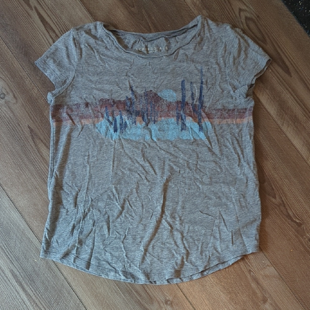 Aeropostale Gray Scenic Graphic Tee